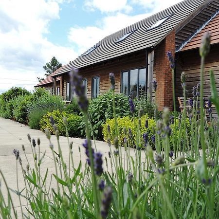 Elm Tree Farm Accommodation Milton Keynes Exteriér fotografie